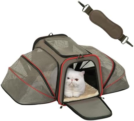 Petsfit Airline Approved Expandable Large Cat Carrier Small Dog Carrier by Petsfit