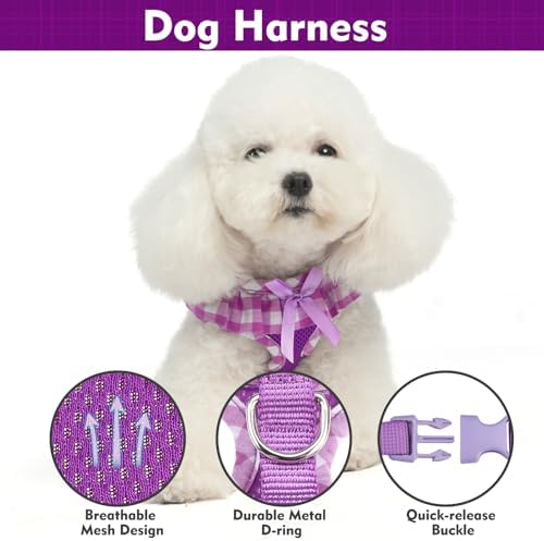 EXPAWLORER Step-in Dog Harness Small Sized and Leash Set - Image 2