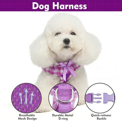 EXPAWLORER Step-in Dog Harness Small Sized and Leash Set - Image 2