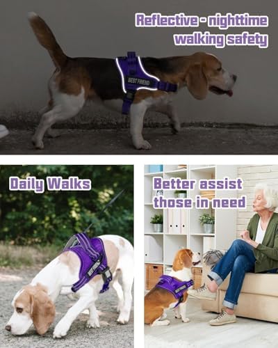 AUROTH Dog Harness and Leash Set - Image 2