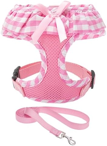 EXPAWLORER Step-in Dog Harness Small Sized and Leash Set by EXPAWLORER