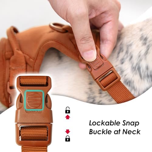 Sunraymascota No Pull Dog Harness - Image 2