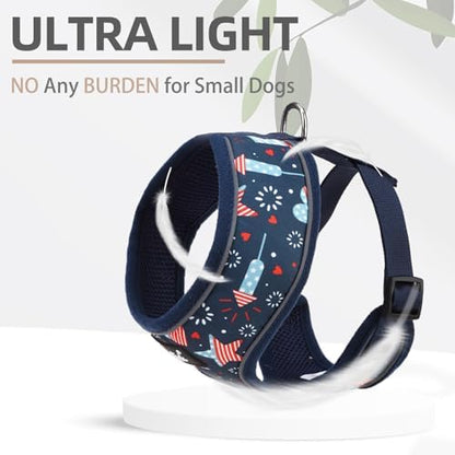 PUPTECK Small Dog Harness and Leash Set No Pull - Image 5