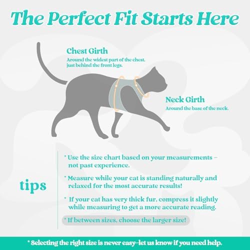 rabbitgoo Cat Harness and Leash Set, Step-in Soft Vest, Turquoise & Green - Image 2