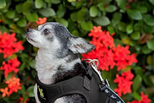 EcoBark Step in Dog Harness - Image 6