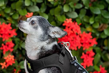 EcoBark Step in Dog Harness - Image 6