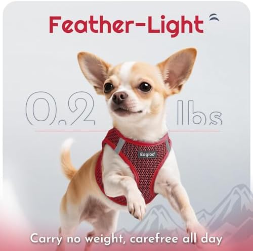 Eagloo Small Dog Harness and Leash Set, Step in Small Sized Puppy Pet Vest - Image 5