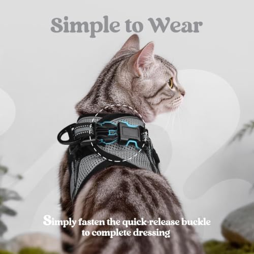 rabbitgoo Cat Harness and Leash Set, Step-in Soft Vest - Image 4