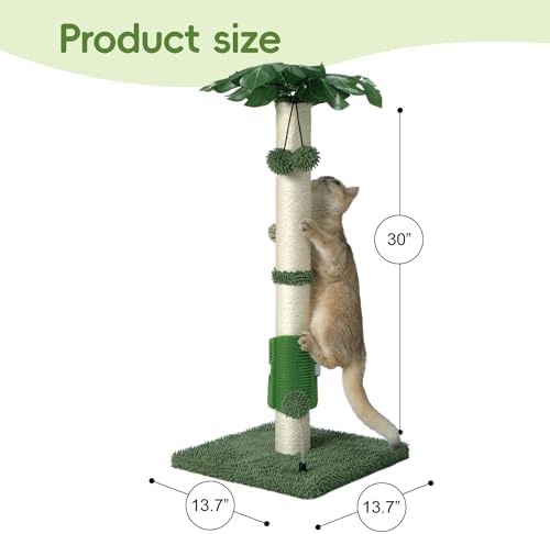 MECOOL Cat Scartching Post，30-inch Cute Scartching Posts - Image 2