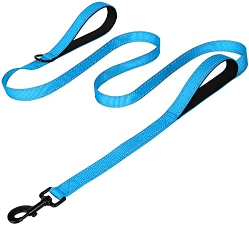 Joytale Dog Leash for Large Dogs that Pull, Double Handle, Aqua Blue by Joytale