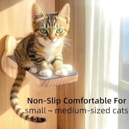 ESPETS Natural Solid Wood Cat Wall Floating Steps - Image 6