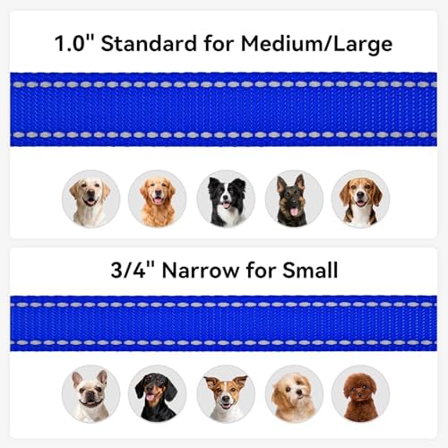 Joytale Reflective Dog Leash for Medium & Large Dogs, 4 FT x 1" - Image 6