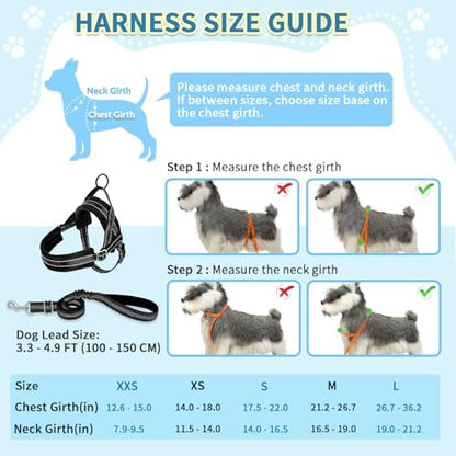 SlowTon No Pull Small Dog Harness and Leash Set - Image 5