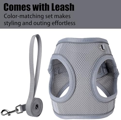 Dog Harness for Small Medium Sized Dog, Puppy Harness and Leash Set Training - Image 3