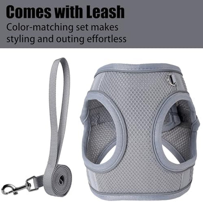 Dog Harness for Small Medium Sized Dog, Puppy Harness and Leash Set Training - Image 3