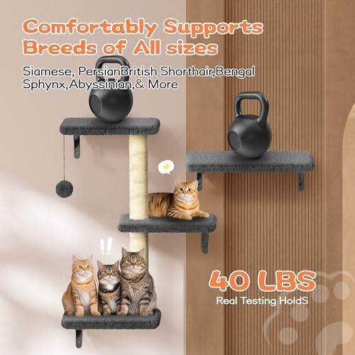 6-in-1 Wall Mounted Cat Climber Set - Image 4