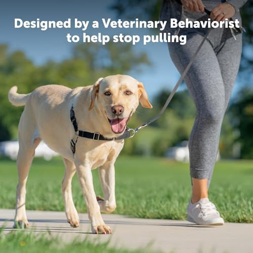 PetSafe Easy Walk Harness, No Pull Dog Harness - Image 2