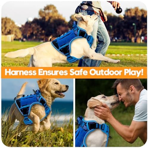 Heavy-Duty Tactical Dog Harness - Image 6