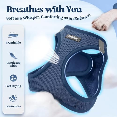 rabbitgoo Dog Harness Medium Sized and Leash Set, Step-in Puppy Pet Vest - Image 4