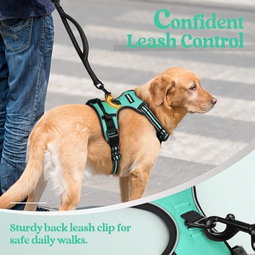 rabbitgoo Dog Harness, No Pull for Large Dogs - Image 6