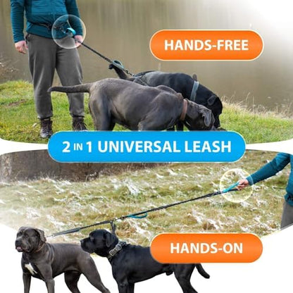 SparklyPets Hands Free Dual Dog Leash, Medium & Large - Image 6