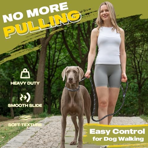 Fida Durable Slip Lead Dog Leash, 4 FT x 1/2" Dog Training Leash - Image 2
