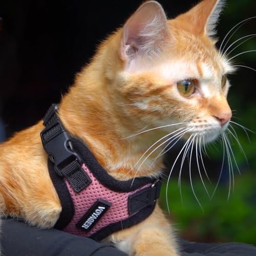 Voyager Step-in Lock Cat Harness & Leash Set - Image 6