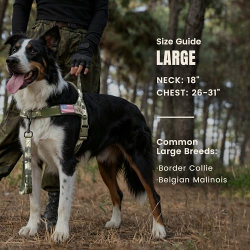 Forestpaw No Pull Dog Harness - Image 4