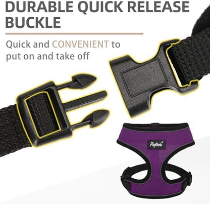 PUPTECK Small Dog Harness and Leash Set No Pull - Image 4
