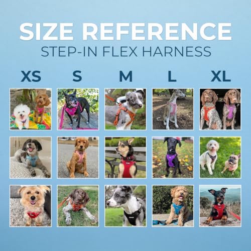Best Pet Supplies Voyager Adjustable Step-in Flex Breathable Mesh Dog Harness - Image 7