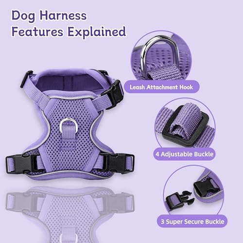 Small Dog Harness and Leash Set, Adjustable Small Sized Pet Vest - Image 2
