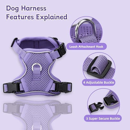 Small Dog Harness and Leash Set, Adjustable Small Sized Pet Vest - Image 2