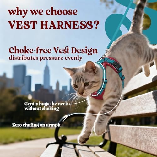 rabbitgoo Cat Harness and Leash Set, Escape Proof Vest - Image 3