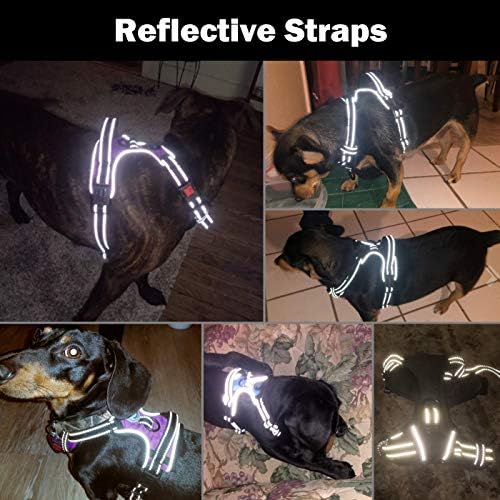 PHOEPET No Pull Dog Harnesses for Small Dogs Reflective Adjustable - Image 5