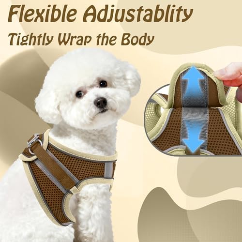 AIITLE Small Dog Harness and Leash Set, Step-in Puppy Pet Vest - Image 4