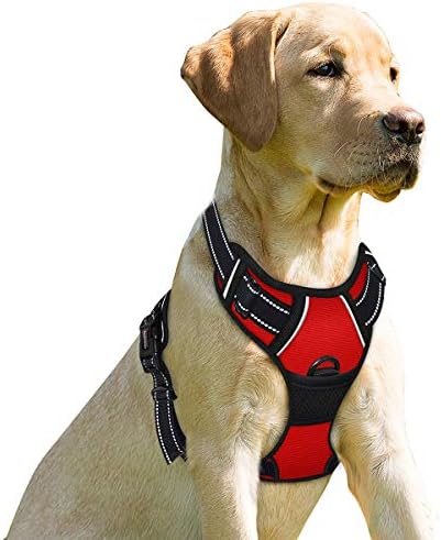 BARKBAY Dog Harness No Pull for Large Dogs Front Back Clips, Dog Vest by BARKBAY