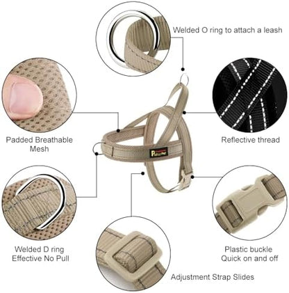 Plutus Pet No Pull Dog Harness for Puppy Small Dogs, Breathable Mesh Padded - Image 2