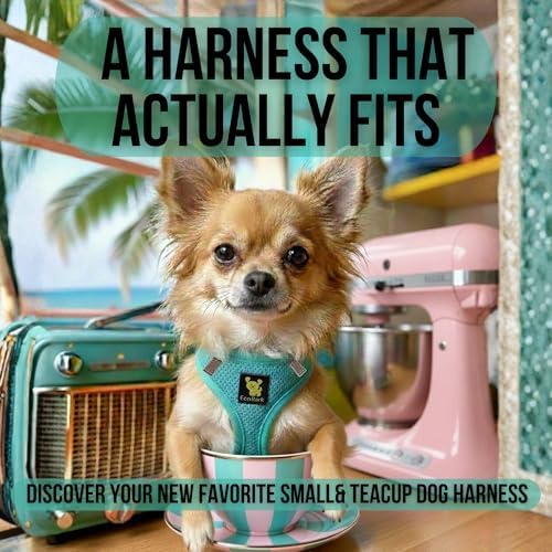 EcoBark Step in Dog Harness, Mesh Body Halter Vest, Under 26 lbs - Image 2