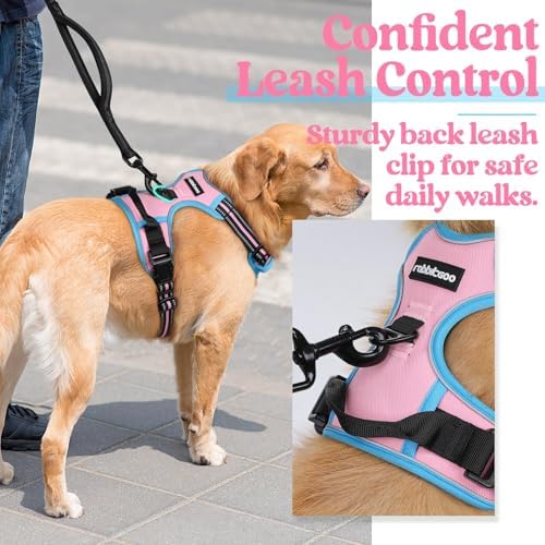 rabbitgoo Dog Harness, No Pull for Small Dogs - Image 5