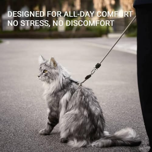 Adjustable Escape Proof Cat Harness and Leash Set - Image 5