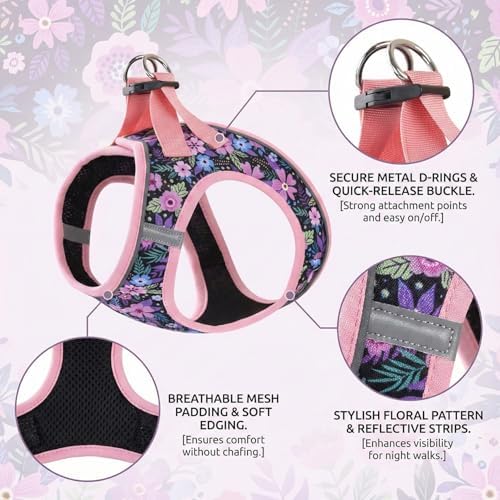 Mihqy Step in Dog Harness and Leash Set, Breathable Mesh - Image 2