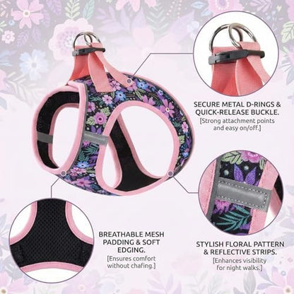 Mihqy Step in Dog Harness and Leash Set, Breathable Mesh - Image 2