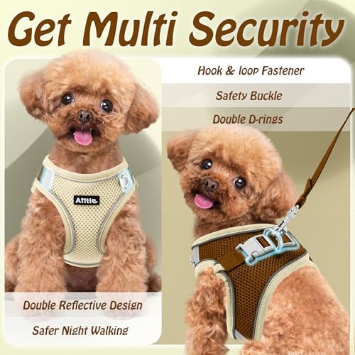 AIITLE Medium Dog Harness and Leash Set, Step-in Puppy Pet Vest - Image 4