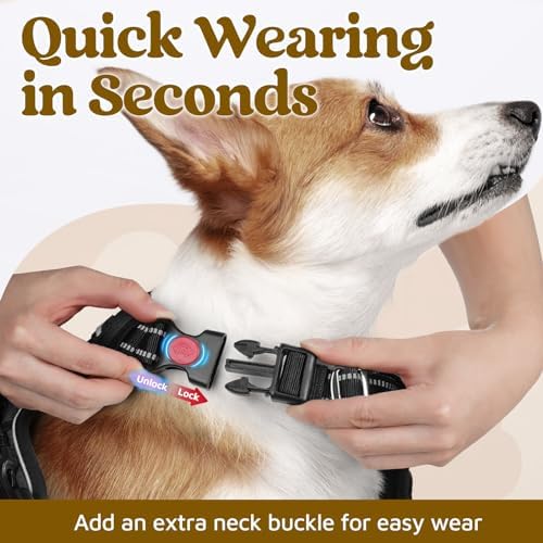 rabbitgoo Dog Harness Small Sized, No Pull 3 Buckles Easy On & Off - Image 2