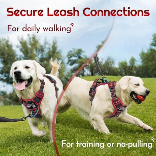 Eagloo Dog Harness No Pull for Large Dogs, Easy On & Off - Image 4