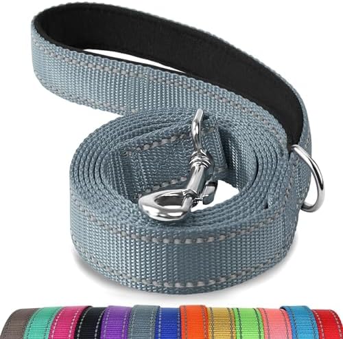 Joytale Reflective Dog Leash for Small Dogs, 5 FT x 3/4" by Joytale