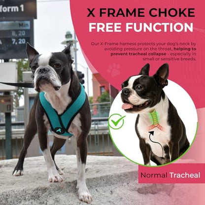 Gooby Comfort X Head-in Dog Harness, Choke-Free - Image 5