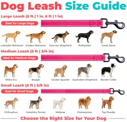 Best Pet Supplies Voyager Nylon Dog Leash - 6ft Fuchsia - Image 6