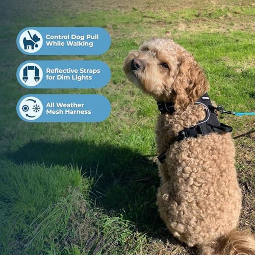 Voyager Dog Harness Dual Leash Attachment No-Pull Control Adjustable Soft but - Image 2