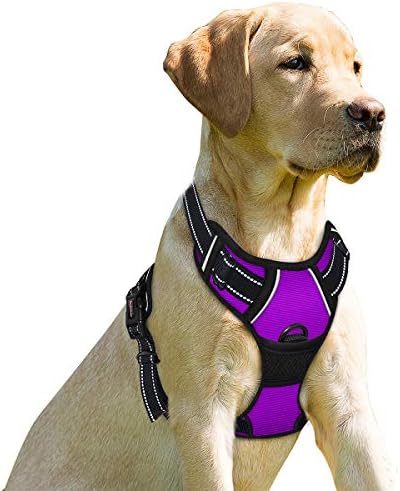 BARKBAY Dog Harness No Pull for Small Sized Dog Front Back Clips, Dog Vest by BARKBAY